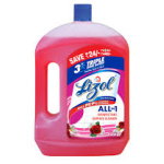 LIZOL ALL IN 1 FLORAL 2L